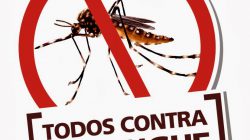 Alto dos Pinheiros registra primeiros casos de dengue de 2024